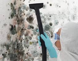 Best Mold Removal for HVAC Installations  in Ozona, TX